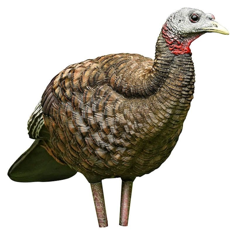 Avian-X LCD Breeder Hen Turkey Decoy