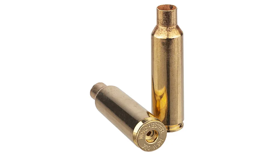Winchester .454 Casull Unprimed Handgun Brass